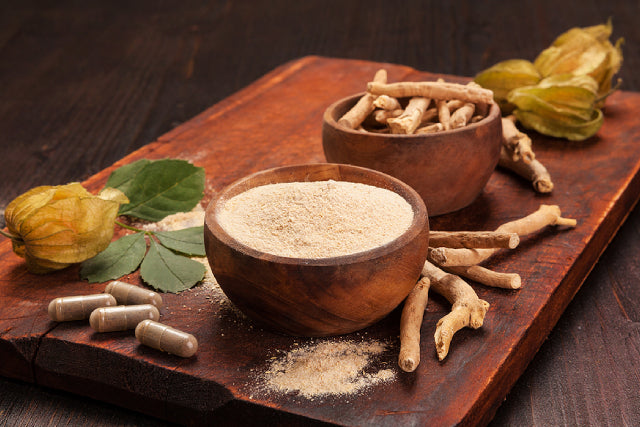 Ancient Healer: Exploring History And Origins Of Ashwagandha